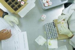 Drug_screening_lab_prepares_samples