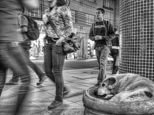 alone_dog_in_the_city_by_thiagohdp-d4nvknk