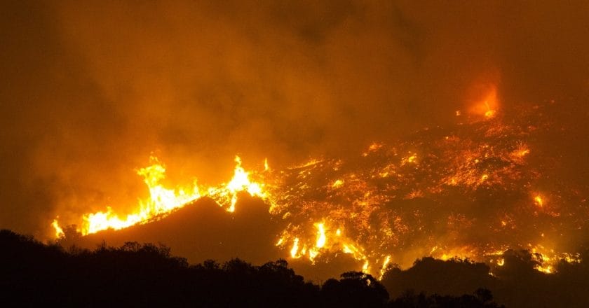 Pożar lasu pod Los Angeles, 2017 r. Fot. Scott L, CC BY-SA