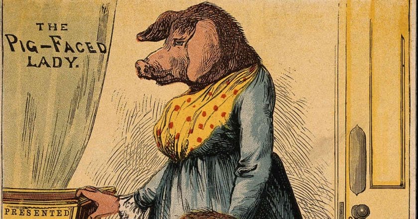 pig-head-lady