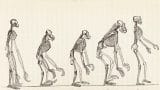 ewolucja-człowieka