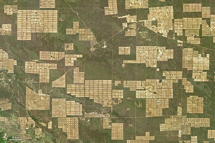 deforestacja-chaco-paragwaj