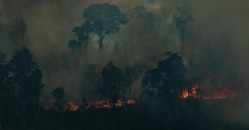 Pożary w Amazonii, sierpień 2019