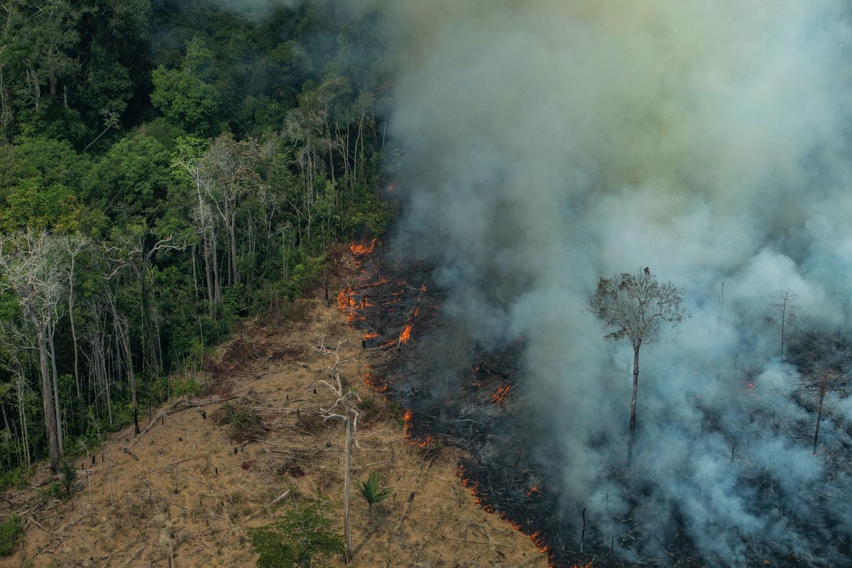 Amazonia las pożar
