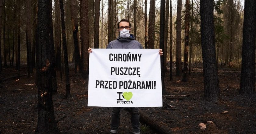 Konferencja prasowa koalicji Kocham Puszczę, na której organizacje przedstawiły swoje postulaty pilnych działań na rzecz zwiększenia bezpieczeństwa Puszczy Białowieskiej. Fot. Maks Zieliński/Greenpeace Polska