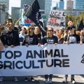 Marsz wyzwolenia zwierząt