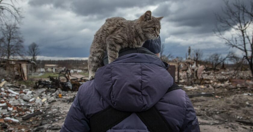 Zniszczenia w Novoseliwce w obwodzie donieckim. Fot: Oleksandr Ratushniak /UNDP Ukraine