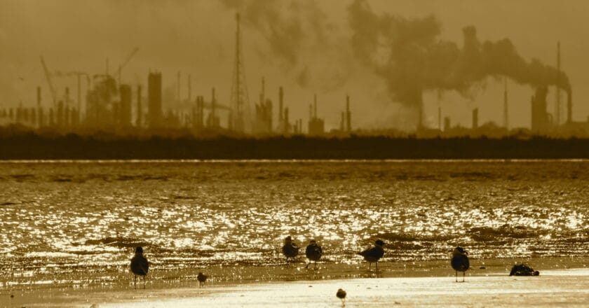 Rafinera ExxonMobil w Teksasie. Fot. Roy Luck/Flickr.com